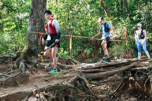 BIB: 
                            <button type="button" onclick="openModal(27558457)" class="btn btn-primary btn-sm float-right btn-popup" data-toggle="modal" data-target=".modal-high-quality">
                        <i class="fas fa-shopping-cart"></i> Add to Cart
                    </button>
                                            <button type="button" onclick="isThisMe(27558457, true)" class="btn btn-success btn-sm float-right btn-popup btn-isme hidden" data-toggle="tooltip" data-placement="bottom" title="นี่คือรูปของคุณใช่ไหม คลิกที่นี่เพื่อเอาเข้าอัลบั้ม">
                        <i class="fas fa-plus"></i> Add to album
                    </button>
                    <button type="button" onclick="isThisMe(27558457, false)" class="btn btn-warning btn-sm float-right btn-popup btn-isnotme hidden">
                        <i class="fas fa-ban"></i> Remove from album
                    </button>